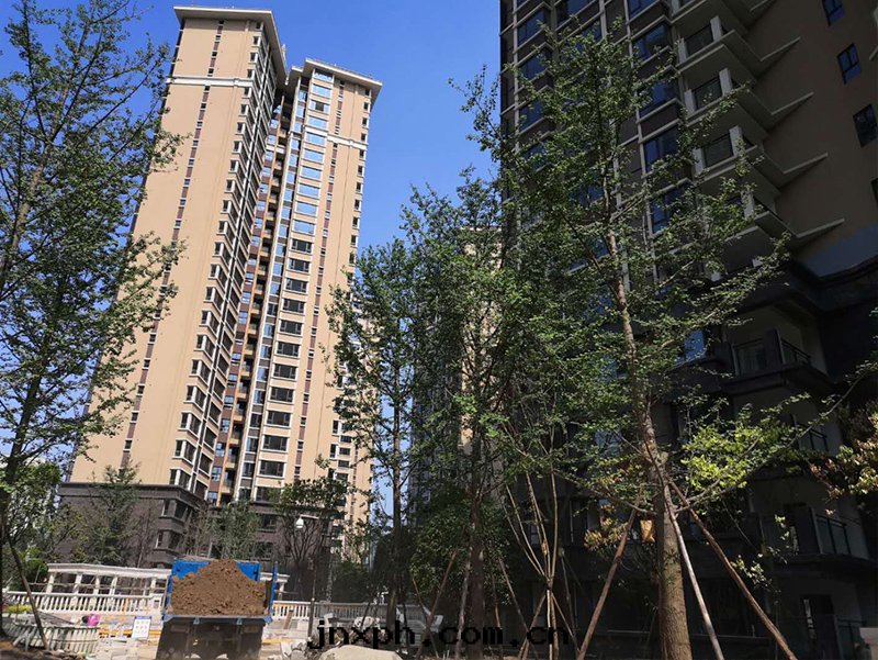 宜賓正(zhèng)和(hé)