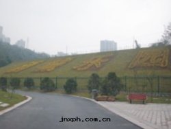 城(chéng)西(xī)公(gōng)園(yuán)欄杆