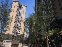 宜賓正(zhèng)和(hé)