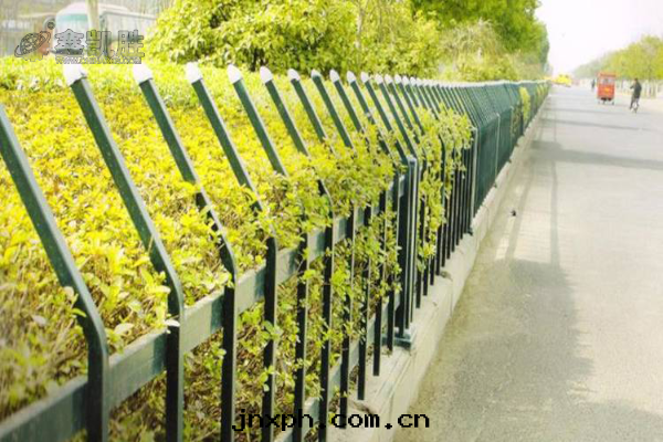 關(guān)于(yú)小区防護栅欄表(biǎo)面(miàn)處(chù)理(lǐ)工藝，你了(le)解(jiě)多(duō)少(shǎo)?